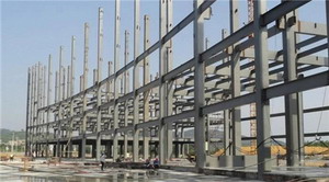 大跨度钢构建筑的形式