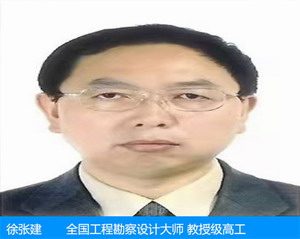 徐张建